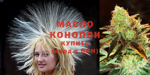ешки Бородино