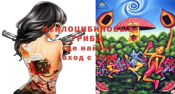 соль ск Билибино
