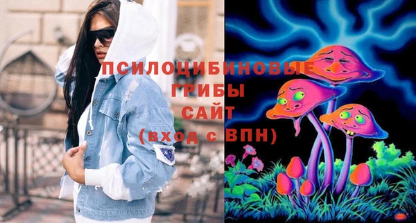 ешки Бородино