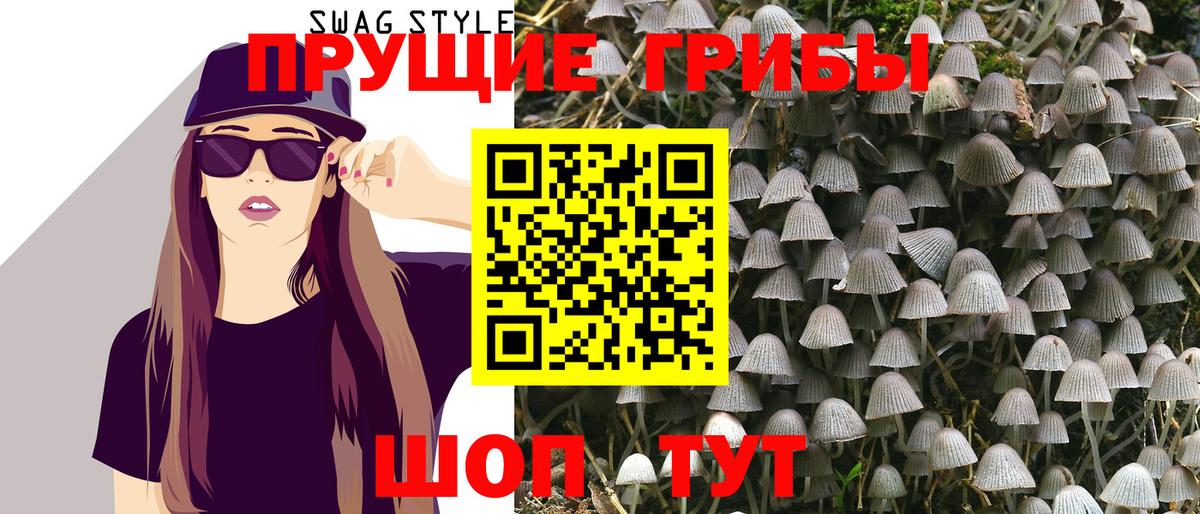 даркнет сайт  Псилоцибиновые грибы Magic Shrooms  Вход с VPN  Верхний Уфалей 