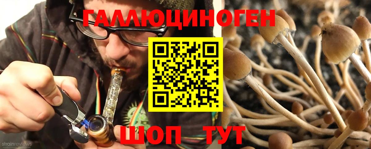 Псилоцибиновые грибы прущие грибы Верхний Уфалей